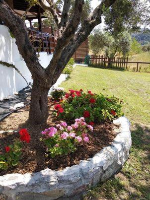 Ases Villa Lagonisi Halkidiki Ormos Panagias Exteriör bild